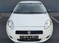 Fiat Grande Punto 1.2 8V BasiS Weiß - thumbnail 4