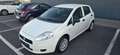 Fiat Grande Punto 1.2 8V BasiS Weiß - thumbnail 1