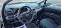 Fiat Grande Punto 1.2 8V BasiS Weiß - thumbnail 11