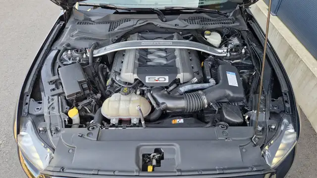 Ford Mustang GT 5.0 V8 FIFTY Anniversary Edition Cabrio, Autom. Ansicht 30