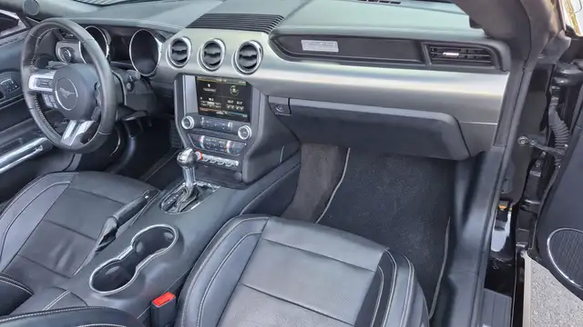 Ford Mustang GT 5.0 V8 FIFTY Anniversary Edition Cabrio, Autom. Ansicht 21