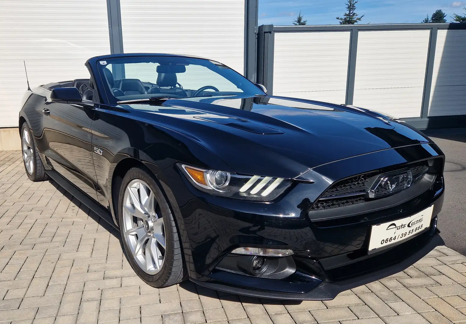 Ford Mustang GT 5.0 V8 FIFTY Anniversary Edition Cabrio, Autom. Schwarz - 1