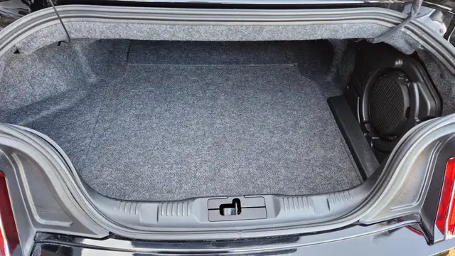 Ford Mustang GT 5.0 V8 FIFTY Anniversary Edition Cabrio, Autom. Ansicht 29