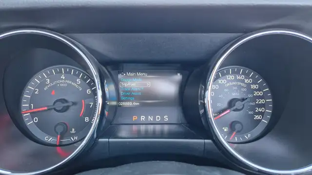 Ford Mustang GT 5.0 V8 FIFTY Anniversary Edition Cabrio, Autom. Ansicht 28