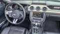 Ford Mustang GT 5.0 V8 FIFTY Anniversary Edition Cabrio, Autom. Schwarz - thumbnail 23