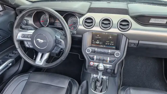 Ford Mustang GT 5.0 V8 FIFTY Anniversary Edition Cabrio, Autom. Ansicht 23