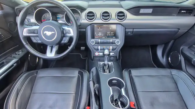 Ford Mustang GT 5.0 V8 FIFTY Anniversary Edition Cabrio, Autom. Ansicht 16