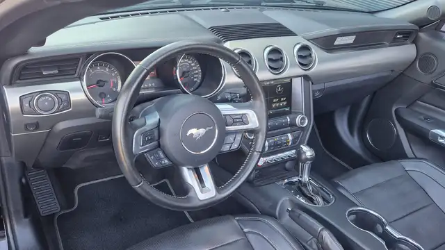 Ford Mustang GT 5.0 V8 FIFTY Anniversary Edition Cabrio, Autom. Ansicht 17