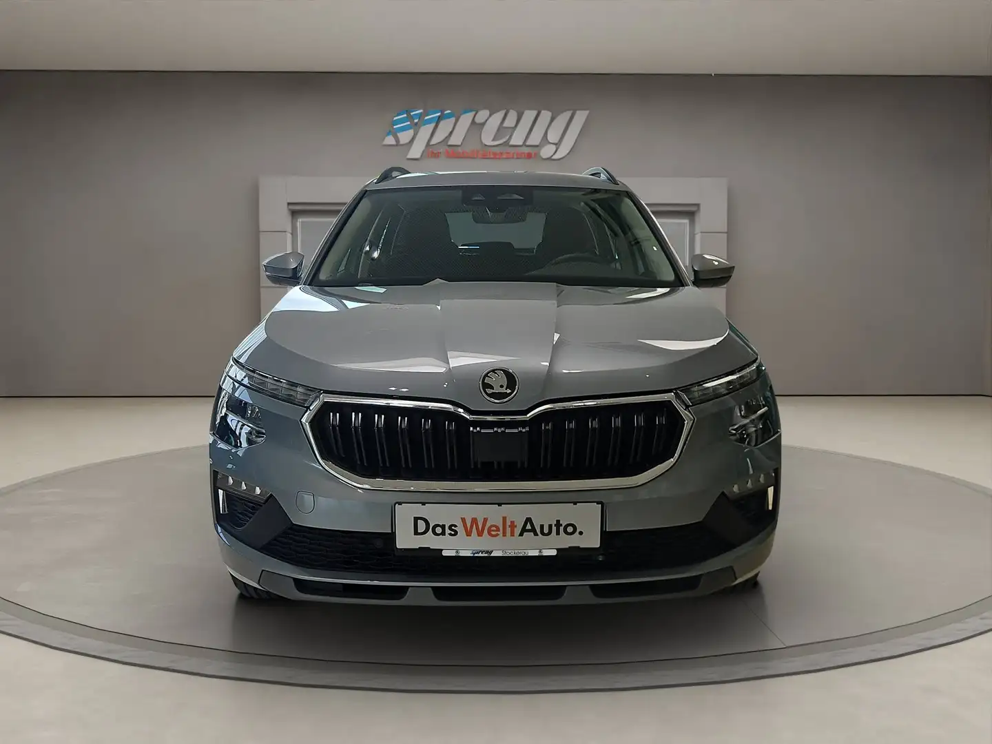 Skoda Kamiq Selection 95 PS - nur € 23.999,-* Monatlich € 192,- Grau - 2