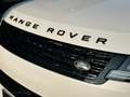 Land Rover Range Rover Sport 3.0 P460 PHEV Dynamic HSE (338kW) Weiß - thumbnail 16