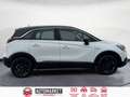 Opel Crossland X 1.5D Innovation 102 Blanco - thumbnail 6