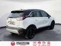 Opel Crossland X 1.5D Innovation 102 Blanco - thumbnail 5
