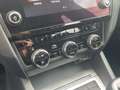 Skoda Octavia 1.0 TSI Wagon Ambition Bianco - thumbnail 11