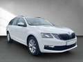 Skoda Octavia 1.0 TSI Wagon Ambition Bianco - thumbnail 2