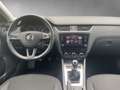 Skoda Octavia 1.0 TSI Wagon Ambition Bianco - thumbnail 10