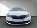 Skoda Octavia 1.0 TSI Wagon Ambition Bianco - thumbnail 5