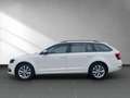 Skoda Octavia 1.0 TSI Wagon Ambition Bianco - thumbnail 7