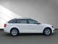 Skoda Octavia 1.0 TSI Wagon Ambition Bianco - thumbnail 8