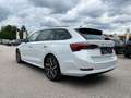 Skoda Octavia Combi 2,0 TDI | CANTON*HUD*PANORAMA Weiß - thumbnail 5