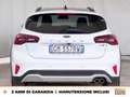 Ford Focus active 1.0 ecoboost h design 125cv Blanc - thumbnail 5