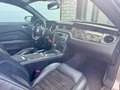 Ford Mustang Fastback 5.0 GT California Special, Maxton Design, Gris - thumbnail 9