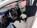 Ford Puma ST-Line mit abnehmbarer AHK Blanco - thumbnail 19