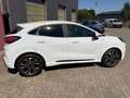 Ford Puma ST-Line mit abnehmbarer AHK Blanco - thumbnail 10