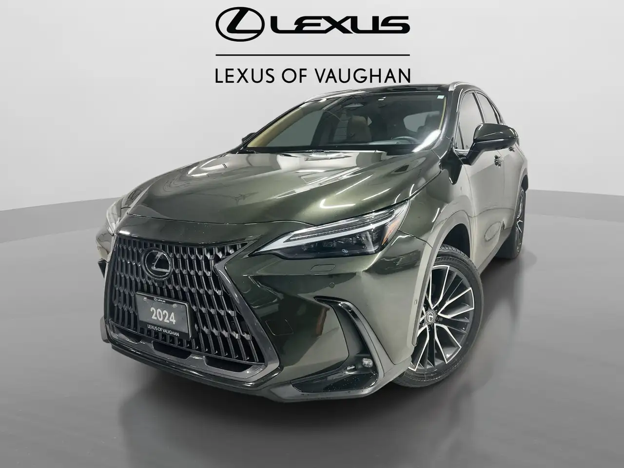 2024 Lexus NX
