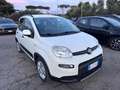Fiat Panda Panda 1.0 firefly hybrid (Red) s&s 70cv 5p.ti Blanc - thumbnail 3