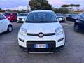 Fiat Panda Panda 1.0 firefly hybrid (Red) s&s 70cv 5p.ti Bianco - thumbnail 2