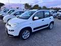 Fiat Panda Panda 1.0 firefly hybrid (Red) s&s 70cv 5p.ti Bianco - thumbnail 1