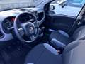 Fiat Panda Panda 1.0 firefly hybrid (Red) s&s 70cv 5p.ti Bianco - thumbnail 5