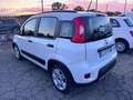 Fiat Panda Panda 1.0 firefly hybrid (Red) s&s 70cv 5p.ti Bianco - thumbnail 4