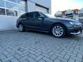 Audi A4 35 TDI advanced Business-Paket Panoramadach Grau - thumbnail 20