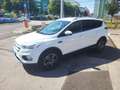 Ford Kuga Trend Weiß - thumbnail 11