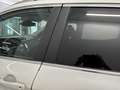 Nissan Qashqai 2ª serie 1.6 dCi 2WD Tekna Blanc - thumbnail 17