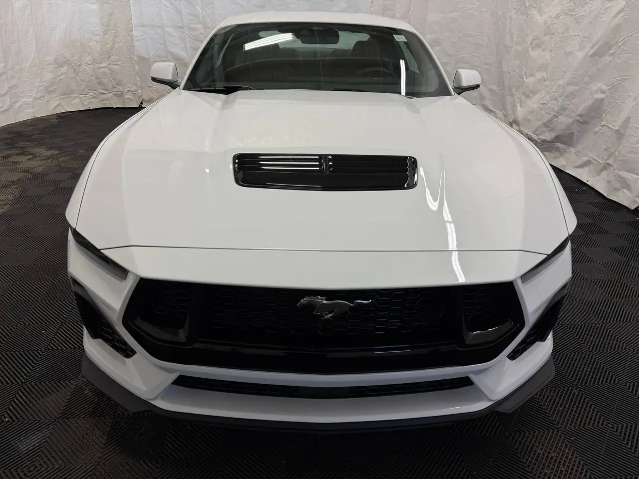 Ford Mustang photo Ford Mustang