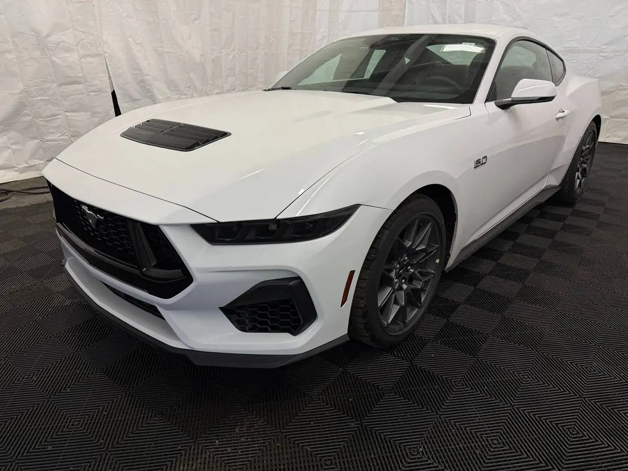 Ford Mustang photo Ford Mustang