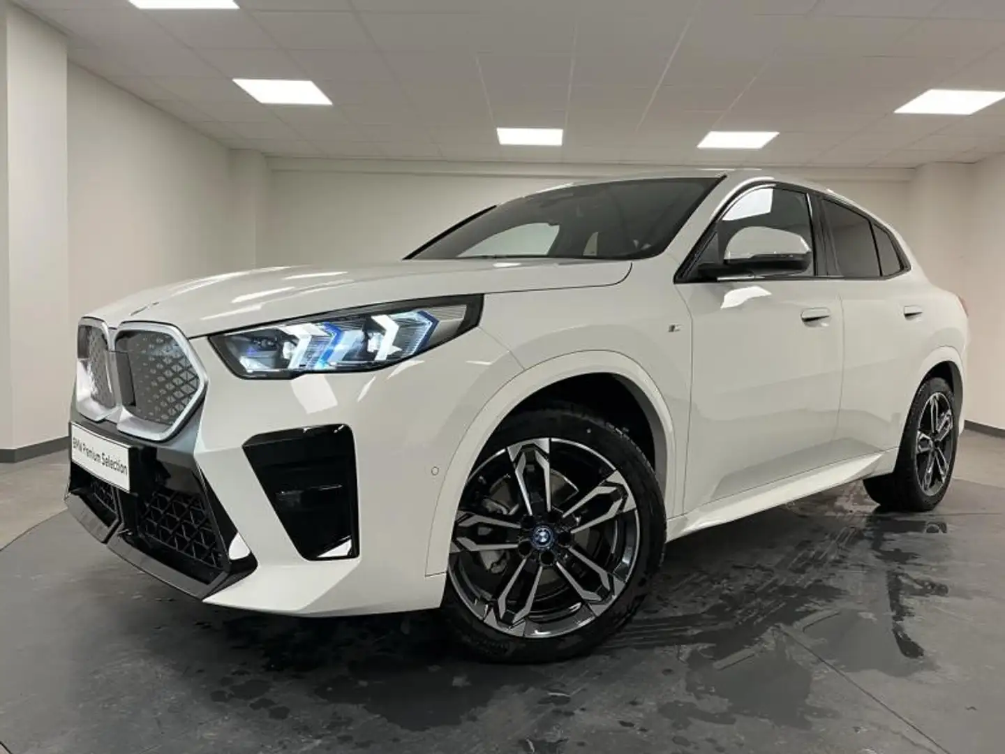 BMW X2 iX2 eDrive20 204ch - 1