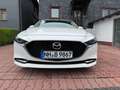 Mazda 3 Mazda 3 2.0 SKYACTIV-X M-Hybrid Selection Weiß - thumbnail 8