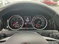Volkswagen Golf Variant Golf VII Variant 2,0TDI United DSG Allwetter NAVI Plateado - thumbnail 12