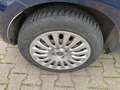 Fiat Punto -3türig-1.2-Benzin-70PS- Blau - thumbnail 14