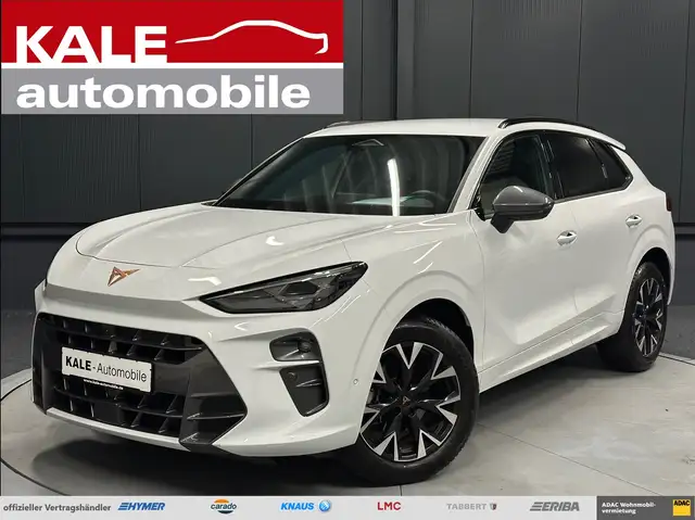 2025 Cupra Terramar in White for sale