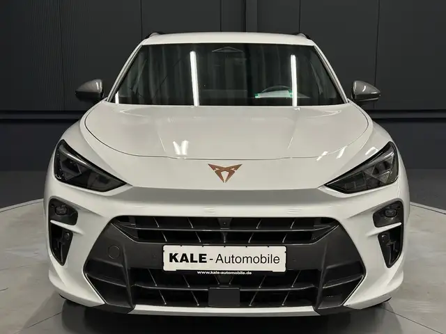 Cupra Terramar view 8