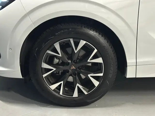 Cupra Terramar view 9