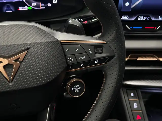 Cupra Terramar view 19