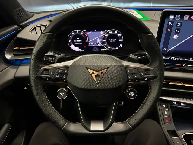 Cupra Terramar view 17