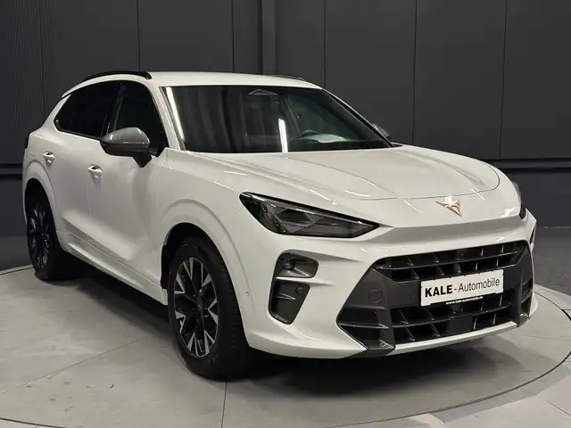 Cupra Terramar view 7