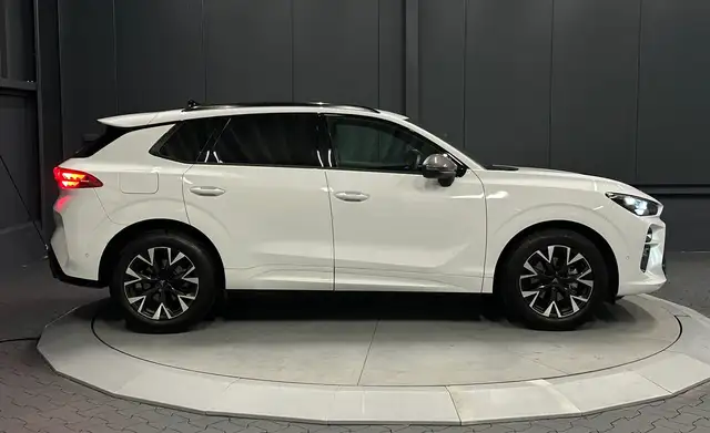 Cupra Terramar view 6