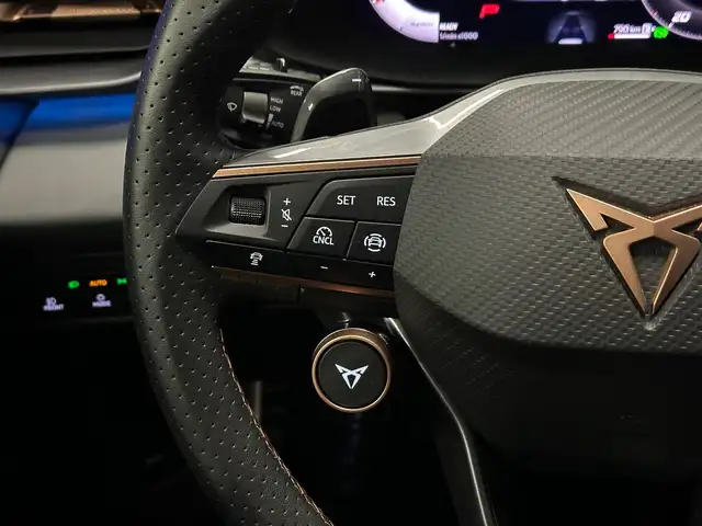 Cupra Terramar view 18